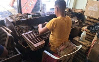 Hand rolling cigars in DR In the Zona Colonia