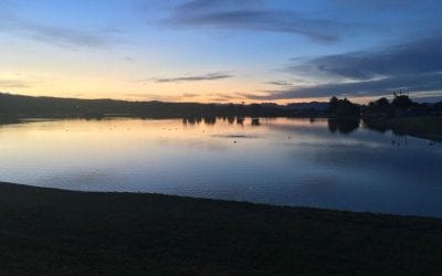 Morning Stroll Lake in the center of Fountain Hills, Arizona