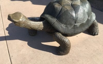 Lone some George – Galapagos Tortoise Sculpture donated to Fountain Hills Park