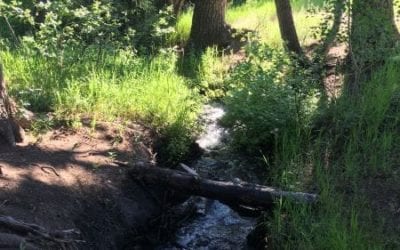 Sitting by the Brook refresh yourself