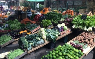 Pocitos Farmers Market Fresh as it gets