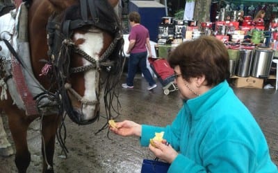 Pocitos Open Air Market / Horses Horses are still getting us where we need to go