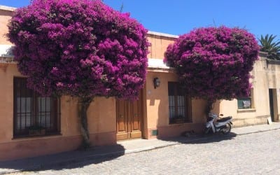 Colonia Del Sacramento A beautiful place