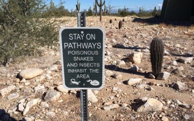 White Tank Mountain  Reserve, Arizona protected nature
