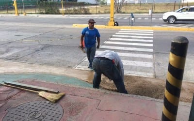 Americans in Mazatlan Green is most everyone's favorite color