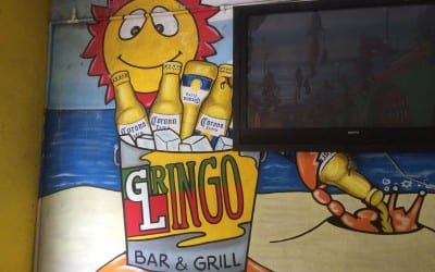Gringo Lingo/Zona Dorado On the strip