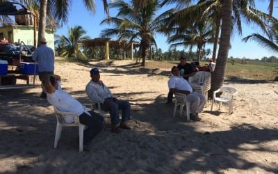 Coconuts and Beach/Stone Island Taking a tour break