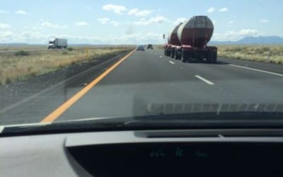Road Kill I 40 West to Flagstaff