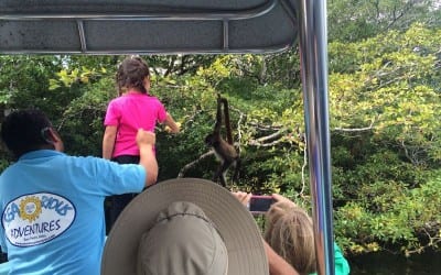 Little Girl Feeding Monkeys cute as a bug