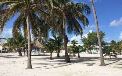 Coconut Jose selling water