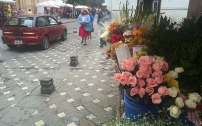 Flower Market A big export for Ecuador