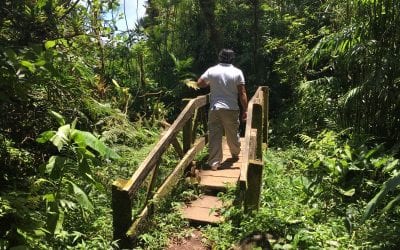 Mombacho Volcano a mile and a half hike