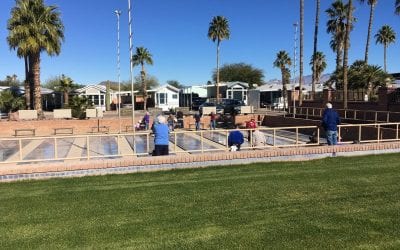 Shuffleboard Masters On the front court