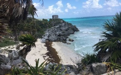 Mayan Outpost with Iquanas Tulum Ruins