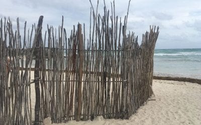 Tulum Sunrise February, 2017