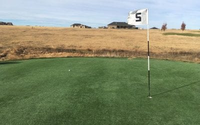 Golf in a Cow Pasture Chasing Par