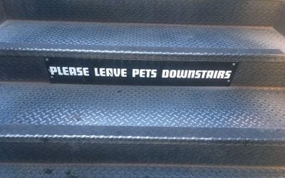 No Pets At the Marble Street Brewery